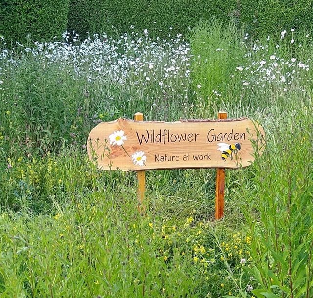 Volunteering Session - Nature Signage Workshop - 26 September 2026